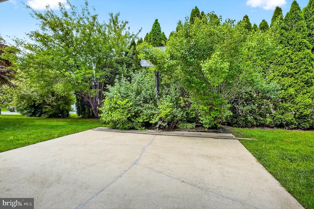 501 Bald Eagle Ct, Lancaster, PA 17601 - view of patio