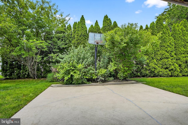 501 Bald Eagle Ct, Lancaster, PA 17601 - view of patio / terrace