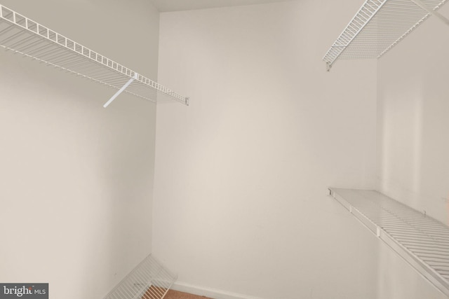 24 Rosette Ln, Richboro, PA 18954 - view of spacious closet