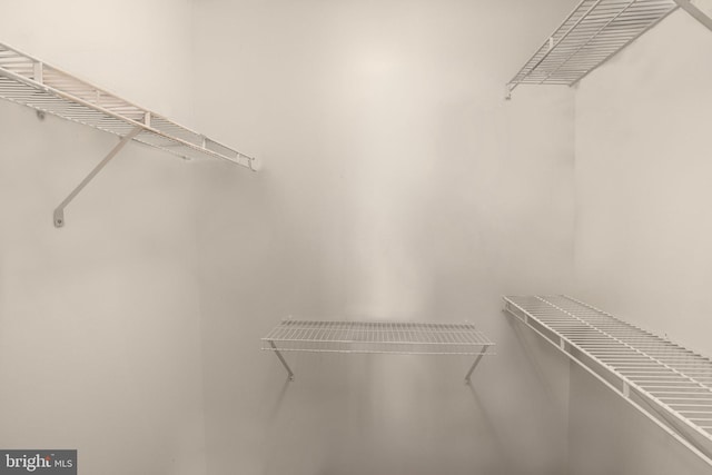 24 Rosette Ln, Richboro, PA 18954 - view of walk in closet