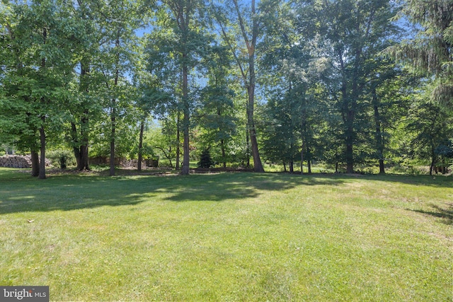 24 Rosette Ln, Richboro, PA 18954 - view of grassy yard