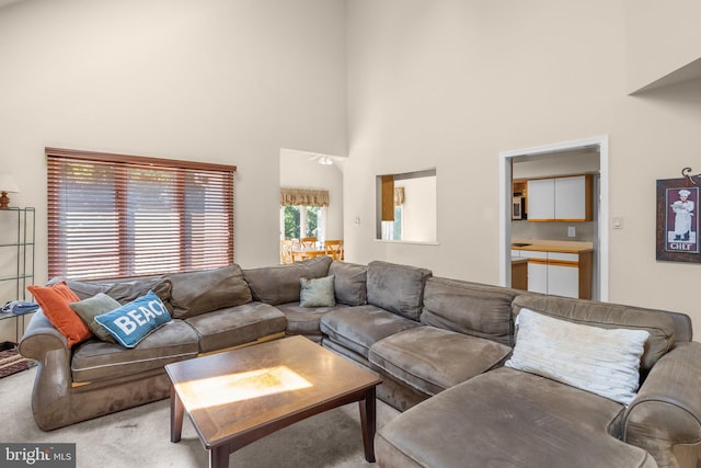 24 Rosette Ln, Richboro, PA 18954 - living area featuring a high ceiling and carpet