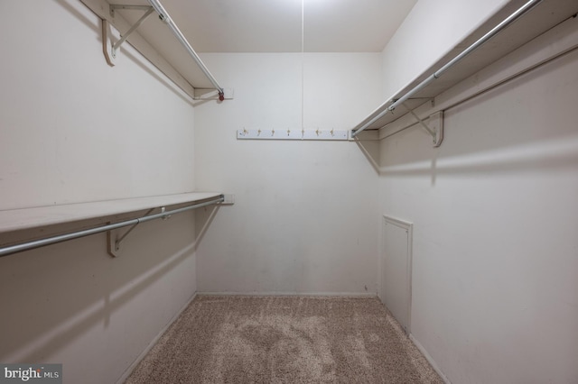 12 Mayville Ln, Marlton, NJ 08053 - walk in closet with carpet flooring