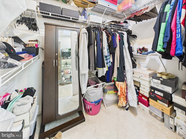 2101 Waterleaf Way, Bowie, MD 20721 - spacious closet with carpet flooring