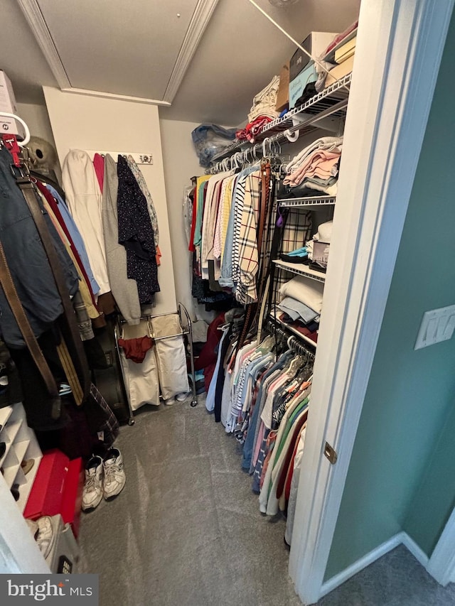 27 Dunlin Way, Sicklerville, NJ 08081 - walk in closet featuring carpet floors and attic access