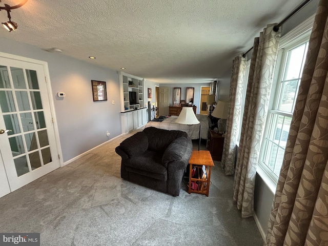 27 Dunlin Way, Sicklerville, NJ 08081 - carpeted living room featuring a textured ceiling