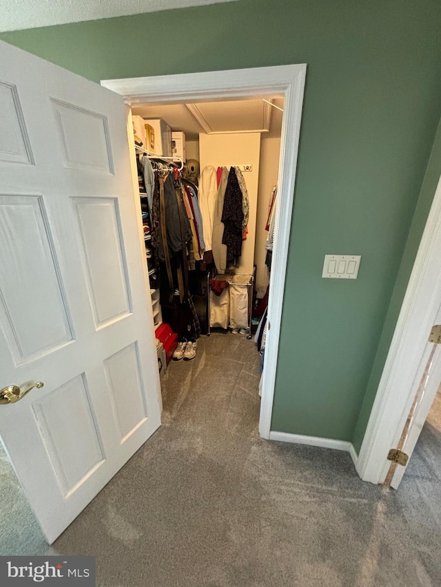 27 Dunlin Way, Sicklerville, NJ 08081 - view of closet