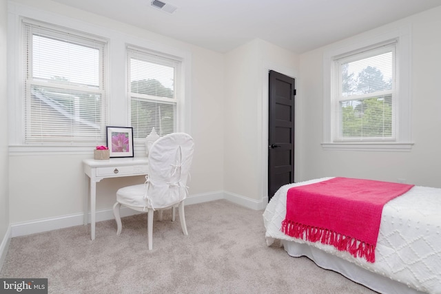 1117 Overbrook Rd, Baltimore, MD 21239 - bedroom with multiple windows and carpet