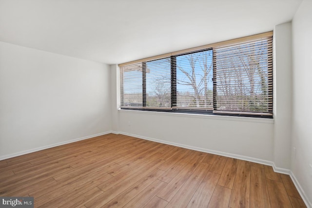 600 Roosevelt Blvd Unit 316, Falls Church, VA 22044 - unfurnished room featuring light wood-type flooring and healthy amount of natural light