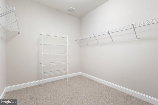 116 Grosbeak Ct, Lake Frederick, VA 22630 - walk in closet with carpet flooring