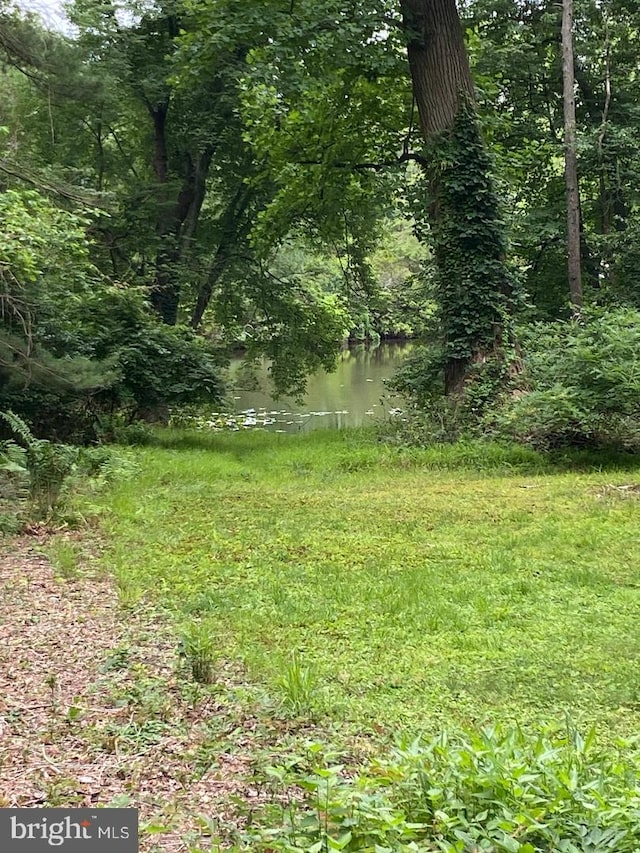41 Spring Lake Dr, Clementon, NJ 08021 - view of yard