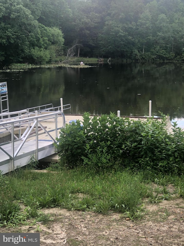 41 Spring Lake Dr, Clementon, NJ 08021 - dock area with a view of trees and a water view