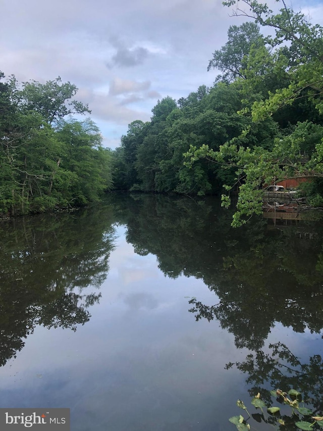 41 Spring Lake Dr, Clementon, NJ 08021 - water view featuring a forest