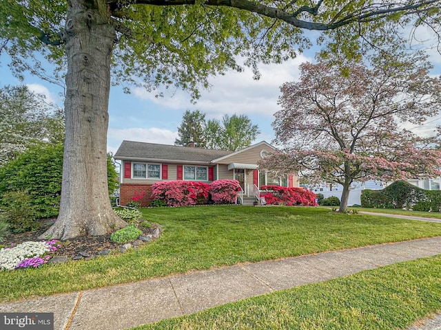3735 Donegal Ln, Brookhaven, PA 19015 - ranch-style house with a front yard, a chimney, and brick siding