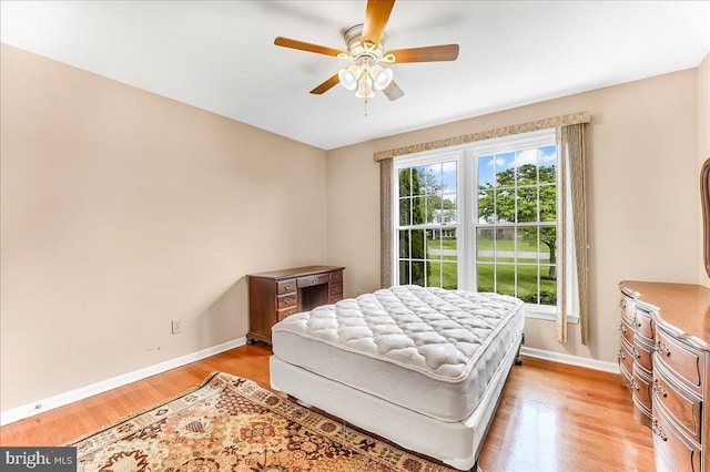 228 Benjamin Blvd, Bear, DE 19701 - bedroom featuring light wood-style floors and a ceiling fan