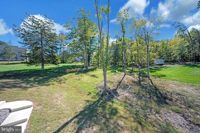 21 Walnut Grove Dr, Fredericksburg, VA 22406 - view of grassy yard