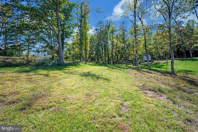21 Walnut Grove Dr, Fredericksburg, VA 22406 - view of grassy yard