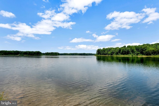 21 Walnut Grove Dr, Fredericksburg, VA 22406 - water view