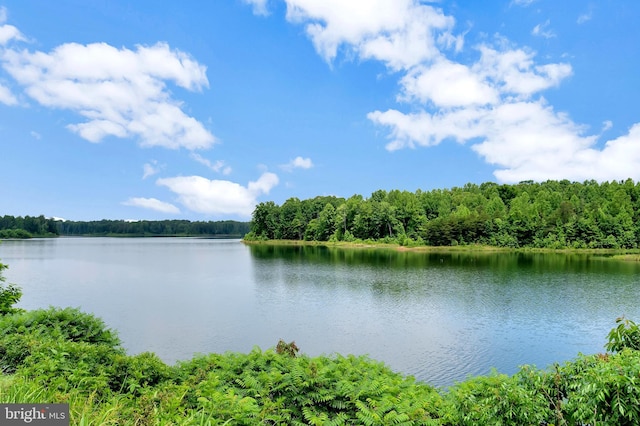 21 Walnut Grove Dr, Fredericksburg, VA 22406 - water view with a heavily wooded area