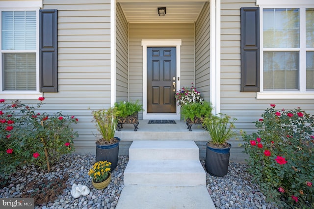 21 Walnut Grove Dr, Fredericksburg, VA 22406 - property entrance