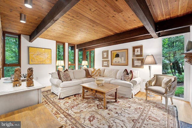 1330 Potomac School Rd, Mclean, VA 22101 - living area featuring wood finished floors and a wooden ceiling with exposed beams