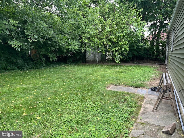 717 Garnet Rd, Wilmington, DE 19804 - view of grassy yard
