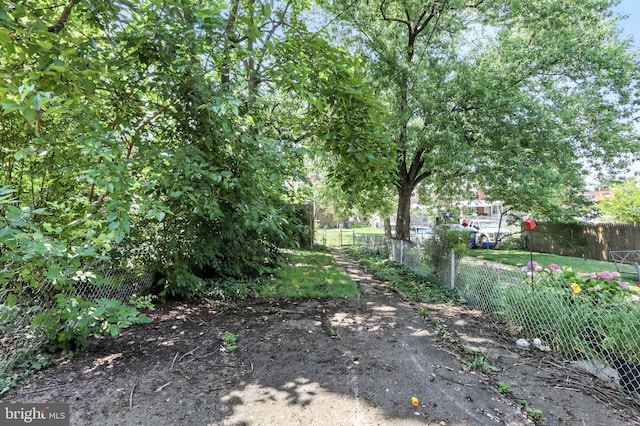 3714 Greenvale Rd, Baltimore, MD 21229 - view of yard