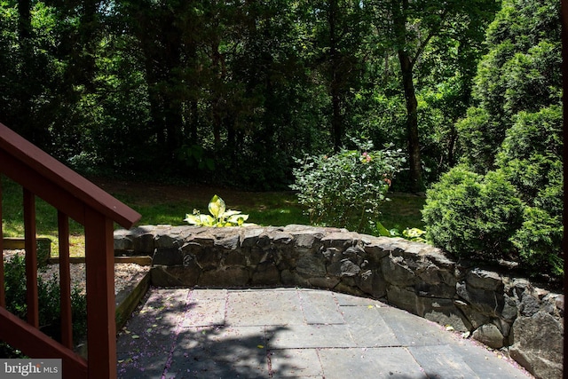 4 Monument Dr, Stafford, VA 22554 - view of patio / terrace with a forest view