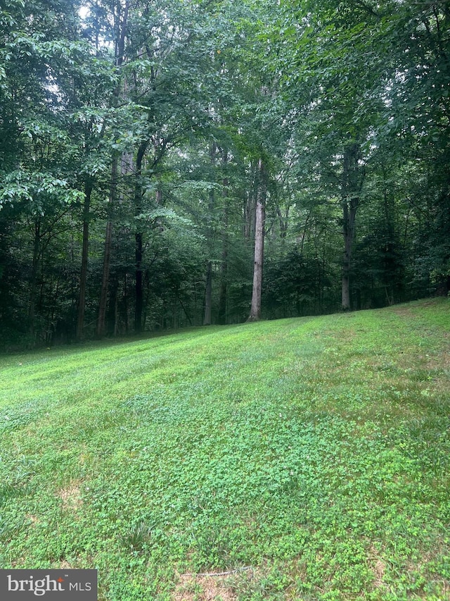 6194 Treywood Ln, Manassas, VA 20112 - view of yard featuring a wooded view
