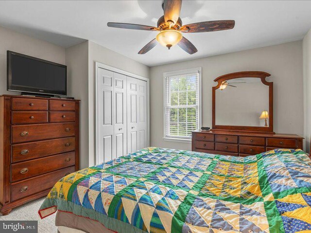 900 Young Dairy Ct, Herndon, VA 20170 - bedroom with a closet, ceiling fan, and carpet flooring