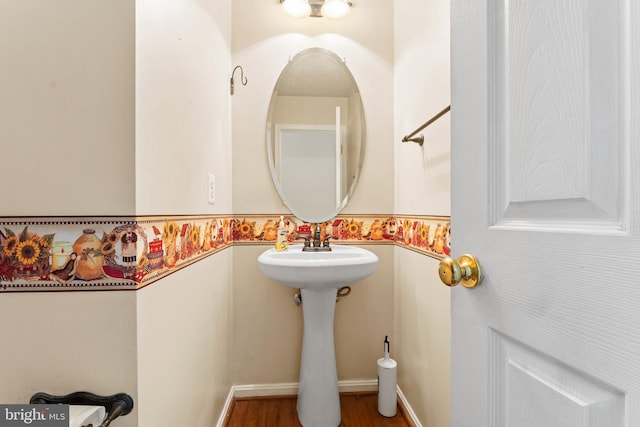 135 Hobbs Hole Ln, Tappahannock, VA 22560 - bathroom with wood finished floors and a sink