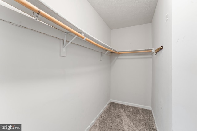 135 Hobbs Hole Ln, Tappahannock, VA 22560 - spacious closet featuring carpet