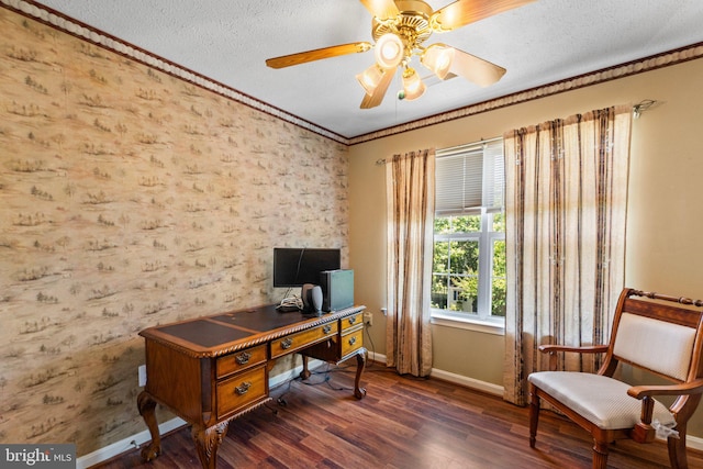 135 Hobbs Hole Ln, Tappahannock, VA 22560 - office space with wood finished floors, a ceiling fan, a textured ceiling, and ornamental molding