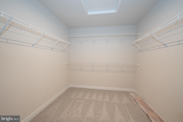 726 Switchman Rd, Media, PA 19063 - walk in closet featuring light colored carpet