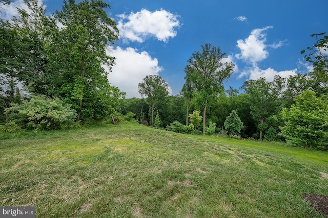 726 Switchman Rd, Media, PA 19063 - view of grassy yard with a wooded view