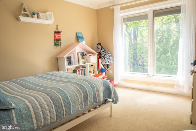 3259 Chrisland Dr, Annapolis, MD 21403 - bedroom with carpet floors and ornamental molding