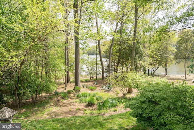 3259 Chrisland Dr, Annapolis, MD 21403 - view of yard with a water view