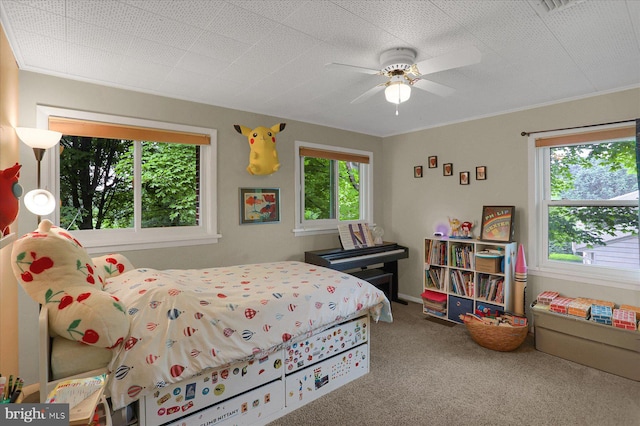 1134 William St, State College, PA 16801 - bedroom with multiple windows, carpet, and a ceiling fan
