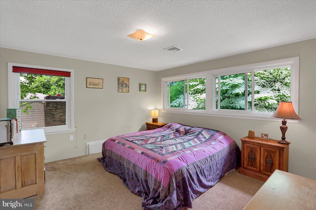 1134 William St, State College, PA 16801 - bedroom featuring multiple windows and carpet flooring