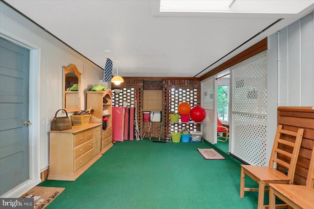 1134 William St, State College, PA 16801 - playroom with carpet