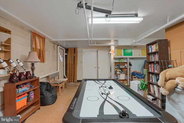 1134 William St, State College, PA 16801 - view of recreation room