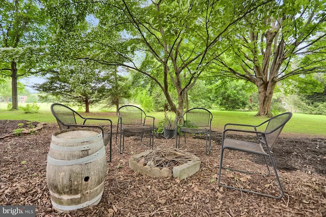 1134 William St, State College, PA 16801 - view of green lawn with a fire pit