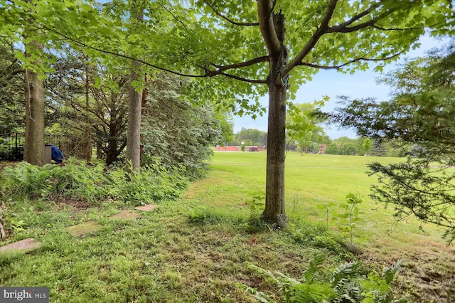 1134 William St, State College, PA 16801 - view of grassy yard
