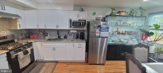 867 Wedgewood Dr, Lansdale, PA 19446 - kitchen featuring appliances with stainless steel finishes, ventilation hood, light wood-style floors, tasteful backsplash, and white cabinetry