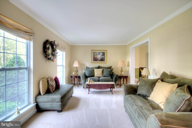 24 Brearly Dr, Sicklerville, NJ 08081 - living room with ornamental molding and light colored carpet