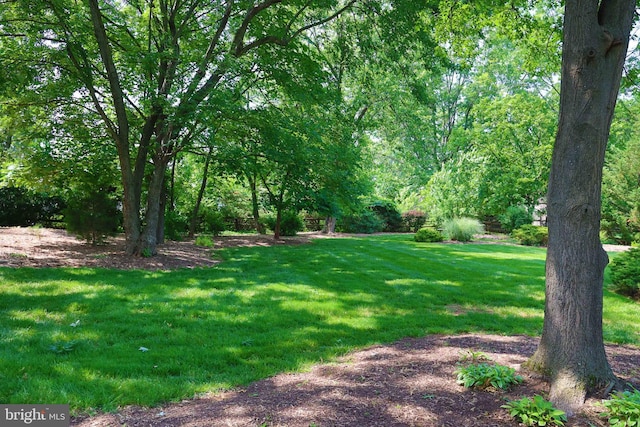 2050 Creek Way, Lansdale, PA 19446 - view of green lawn