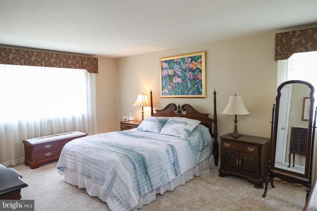 2050 Creek Way, Lansdale, PA 19446 - bedroom with multiple windows and light carpet