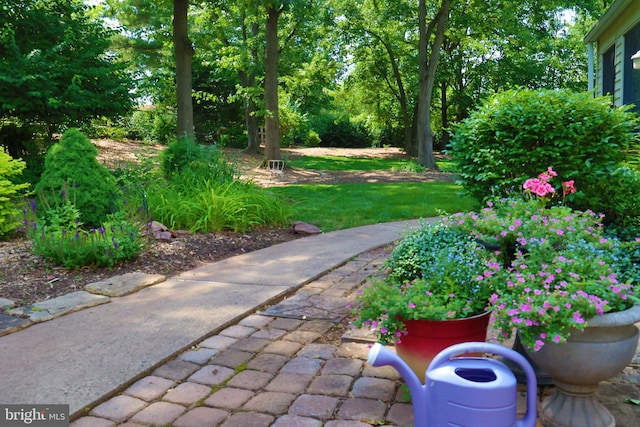 2050 Creek Way, Lansdale, PA 19446 - view of yard