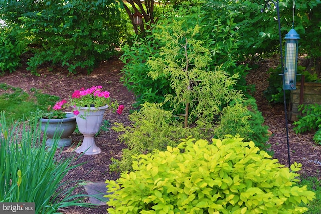 2050 Creek Way, Lansdale, PA 19446 - view of yard
