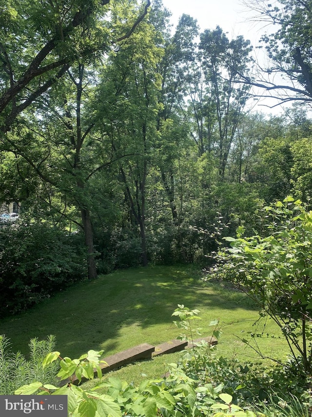 1706 Painters Xing, Chadds Ford, PA 19317 - view of green lawn